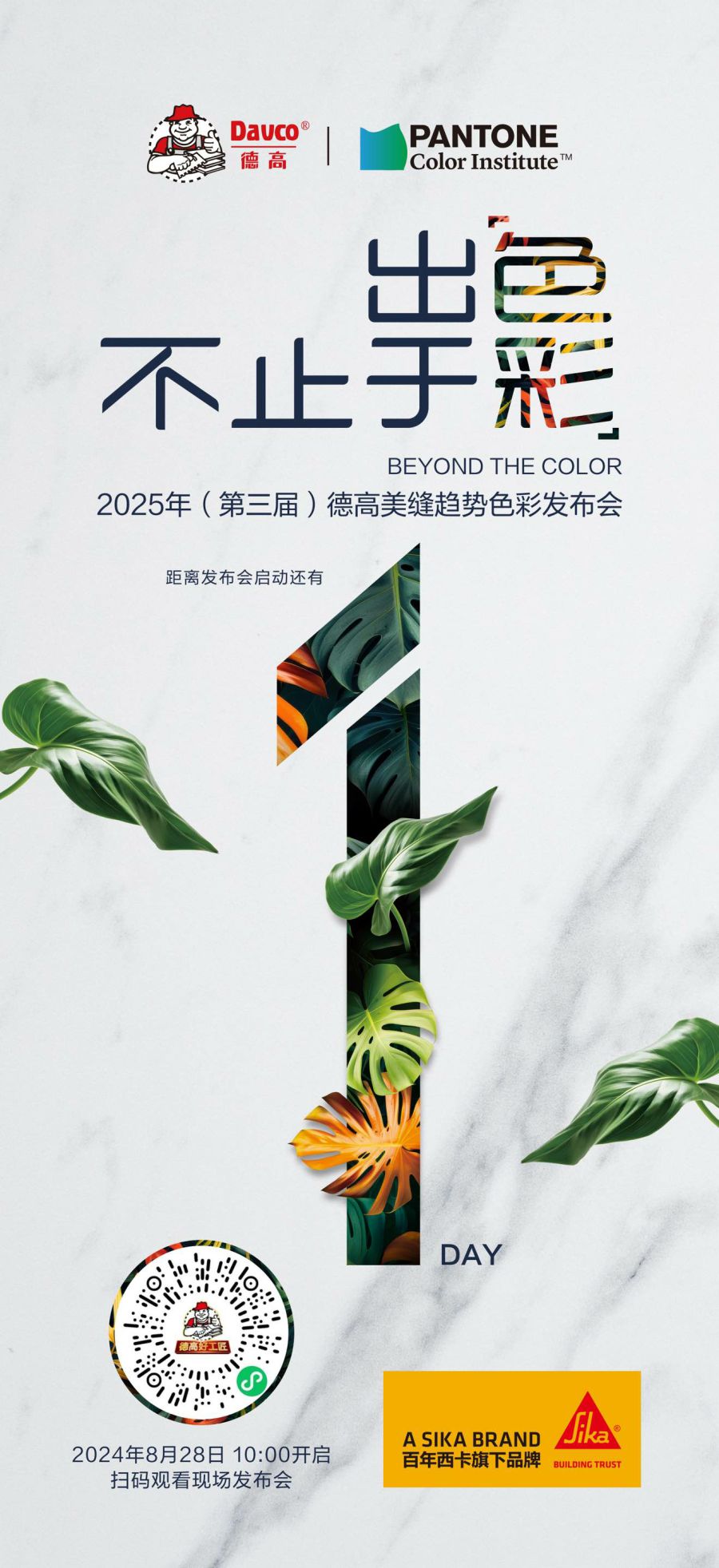 倒计时1天！精彩看点，提前知晓