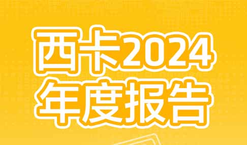 西卡2024年度报告，新鲜出炉！