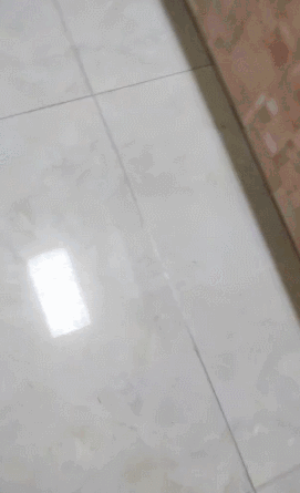 微信图片_20250506145424.gif