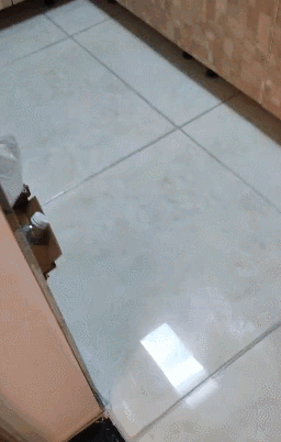 微信图片_20250506145428.gif